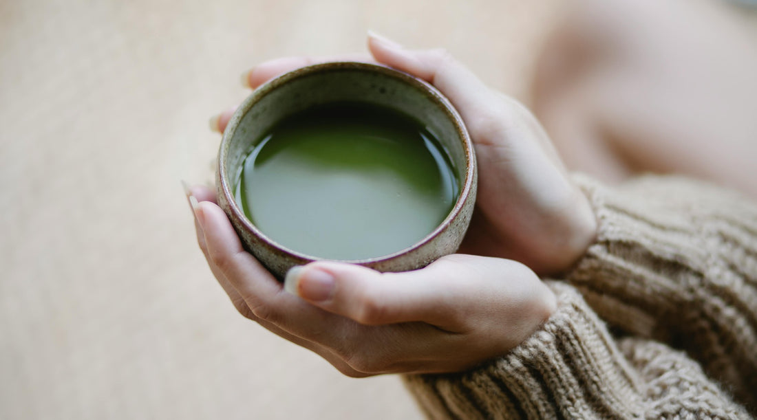 Hands holding a traditional ceramic cup filled with freshly whisked matcha tea